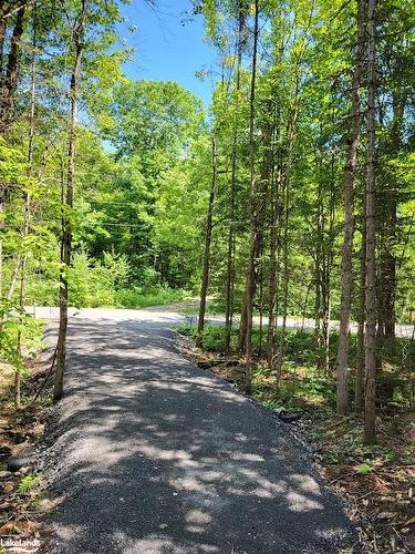 Lot 5 Fairy Falls Road, Baysville, ON 