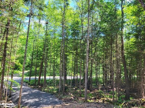 Lot 5 Fairy Falls Road, Baysville, ON 