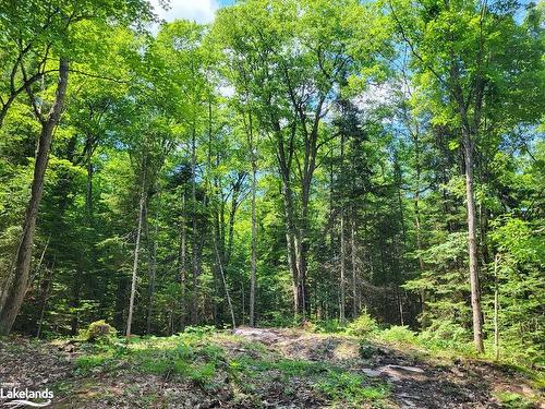 Lot 5 Fairy Falls Road, Baysville, ON 