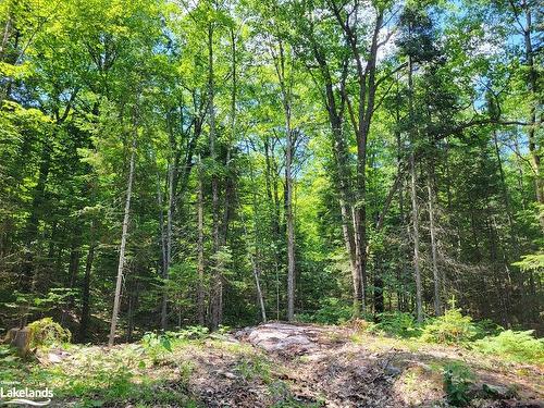 Lot 5 Fairy Falls Road, Baysville, ON 