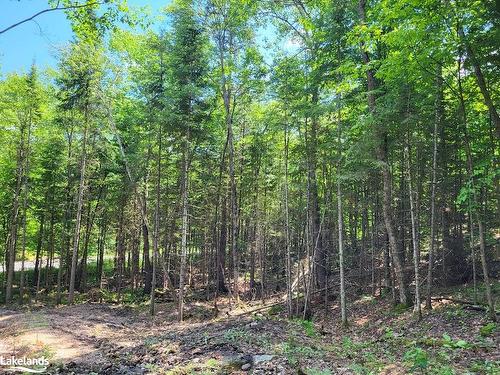 Lot 5 Fairy Falls Road, Baysville, ON 