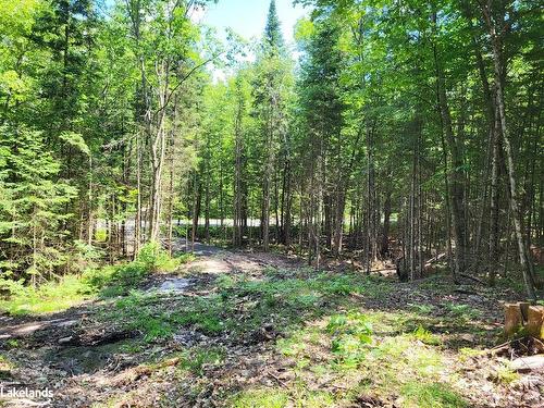 Lot 5 Fairy Falls Road, Baysville, ON 