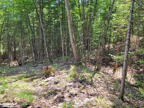 Lot 5 Fairy Falls Road, Baysville, ON 