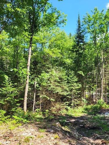 Lot 5 Fairy Falls Road, Baysville, ON 