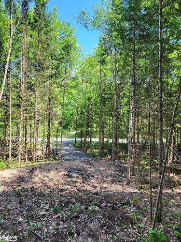 Lot 5 Fairy Falls Road, Baysville, ON 