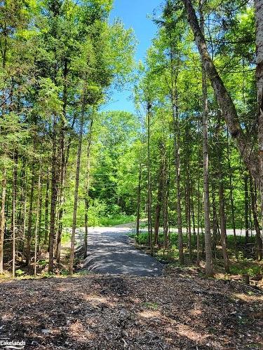 Lot 5 Fairy Falls Road, Baysville, ON 