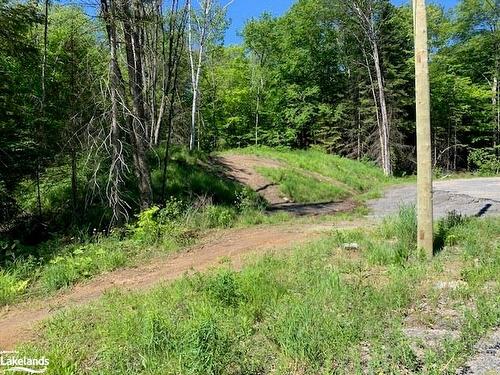 60 Summer Leigh Trail, Huntsville, ON 