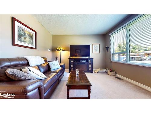 46 Erie Street, Collingwood, ON - Indoor Photo Showing Living Room