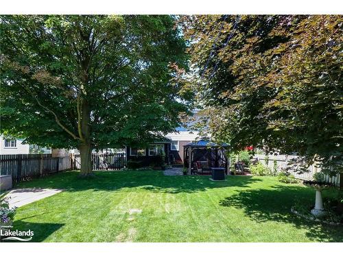 46 Erie Street, Collingwood, ON - Outdoor With Backyard