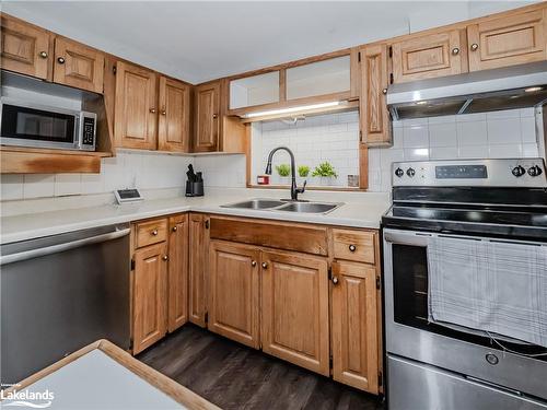 551 David Street E, Gravenhurst, ON - Indoor Photo Showing Kitchen With Double Sink