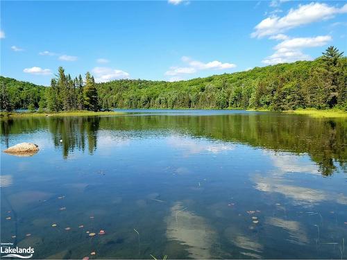 359 Grass Lake Road, Kearney, ON - Outdoor With Body Of Water With View