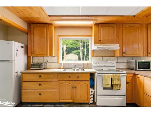 10 Route 66 Road, Seguin, ON - Indoor Photo Showing Kitchen With Double Sink