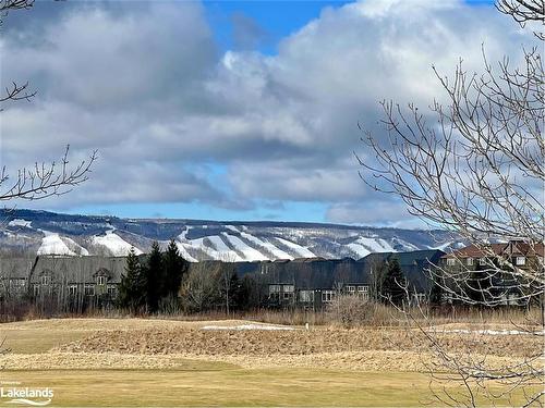 568 Oxbow Crescent, Collingwood, ON - Outdoor With View