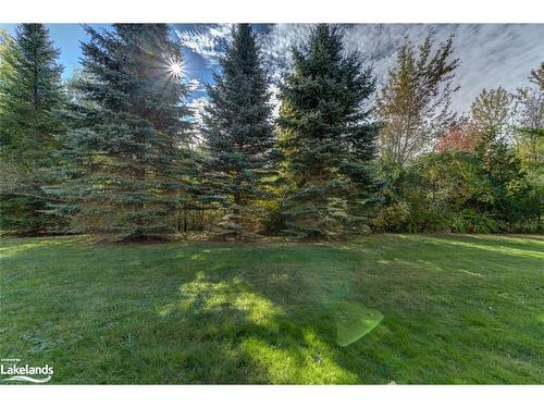 4 Royalton Lane, Collingwood, ON - Outdoor With Body Of Water With View