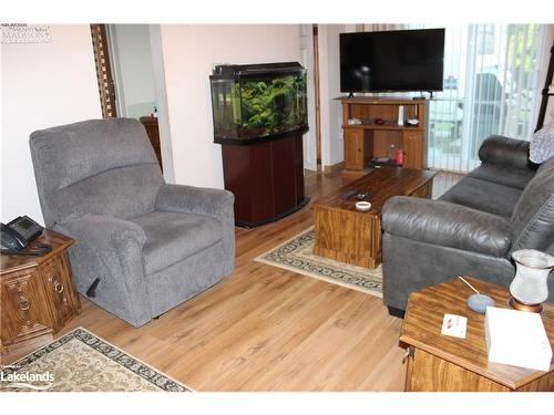 24 Downer Street, Collingwood, ON - Indoor Photo Showing Living Room