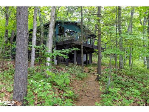 70 Caisses Island, Bracebridge, ON - Outdoor