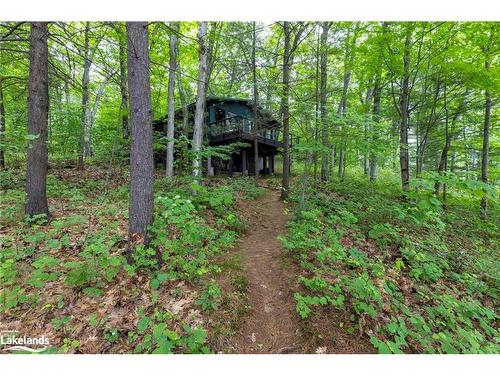 70 Caisses Island, Bracebridge, ON - Outdoor