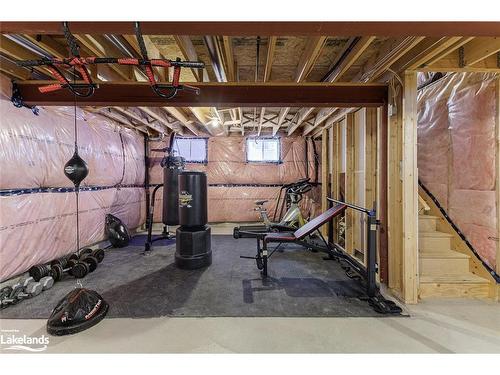 196 Findlay Drive, Collingwood, ON - Indoor Photo Showing Basement