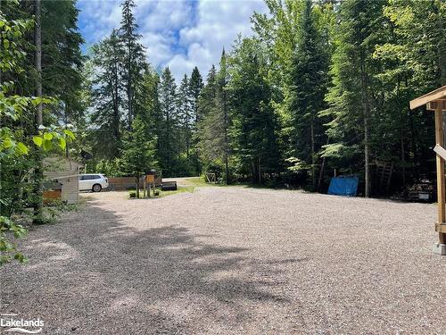 3640 Highway 518 W, Sprucedale, ON - Outdoor