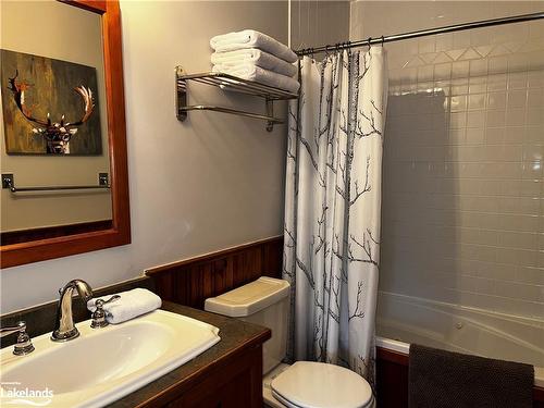 110-184 Snowbridge Way, The Blue Mountains, ON - Indoor Photo Showing Bathroom