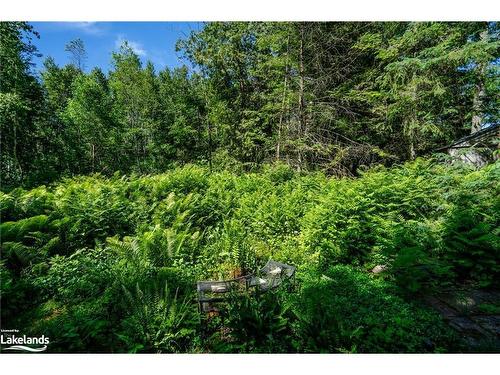 28 Caribou Trail, Wasaga Beach, ON - Outdoor