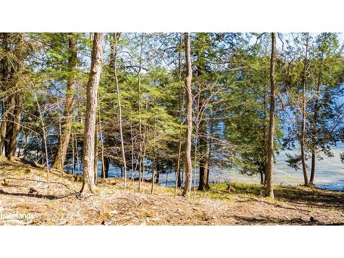 1091 Osborne Point Road, Lake Of Bays, ON 