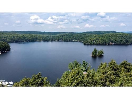 1091 Osborne Point Road, Lake Of Bays, ON 