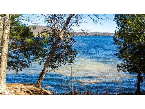 1091 Osborne Point Road, Lake Of Bays, ON 