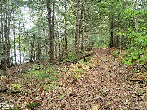 Lot 9 Concession 5, Baysville, ON 