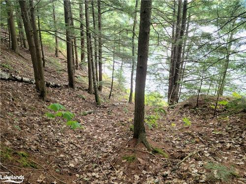 Lot 9 Concession 5, Baysville, ON 