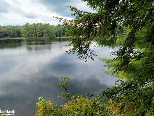 Lot 9 Concession 5, Baysville, ON 