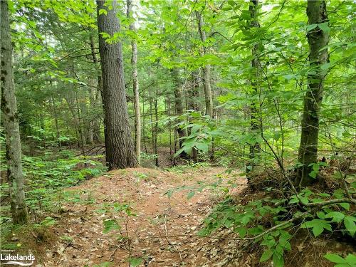 Lot 9 Concession 5, Baysville, ON 