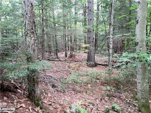 Lot 9 Concession 5, Baysville, ON 