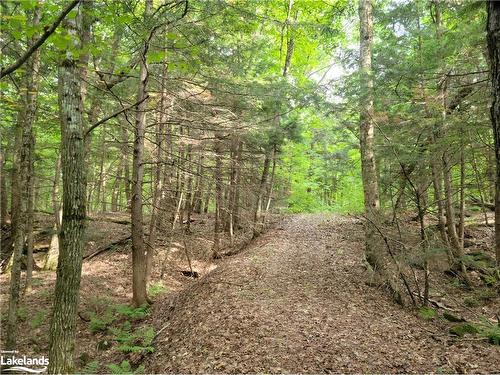 Lot 9 Concession 5, Baysville, ON 