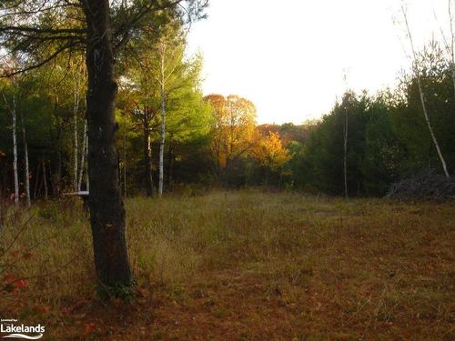 Lot 9 Concession 5, Baysville, ON 