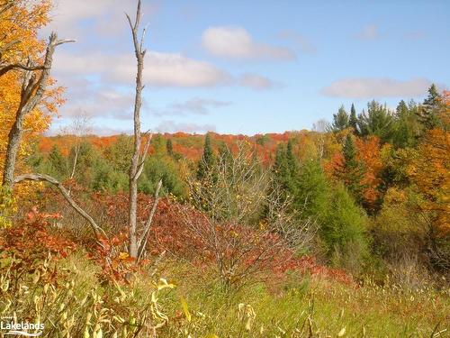 Lot 9 Concession 5, Baysville, ON 