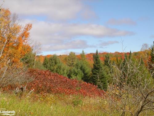 Lot 9 Concession 5, Baysville, ON 