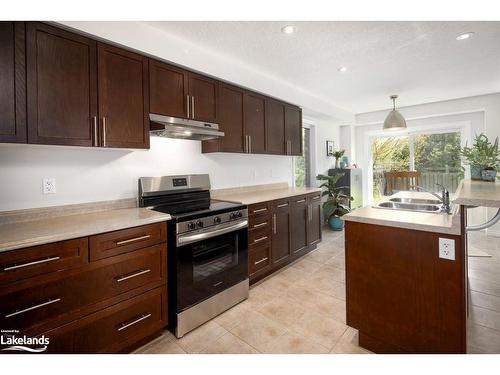 38 Sherwood Street, Collingwood, ON - Indoor Photo Showing Kitchen With Double Sink