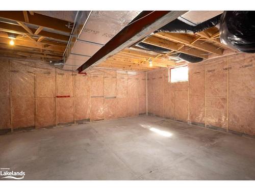 38 Sherwood Street, Collingwood, ON - Indoor Photo Showing Basement