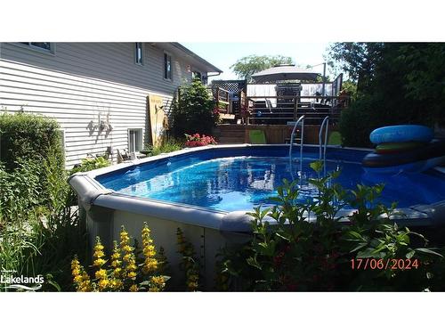 90 Manning Avenue, Collingwood, ON - Outdoor With Above Ground Pool
