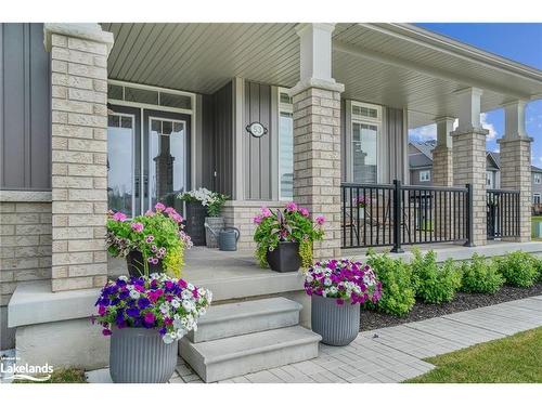 53 Tracey Lane, Collingwood, ON - Outdoor With Deck Patio Veranda