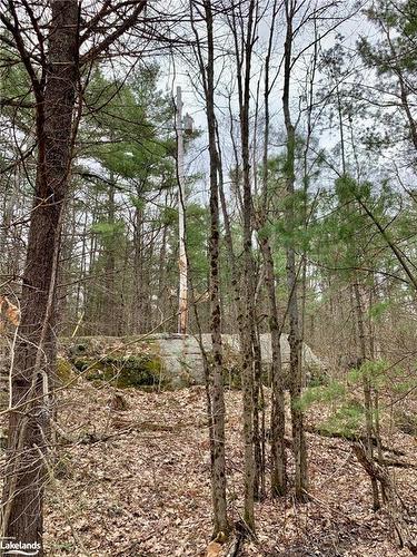 Lot 53 & 54 Kahshe Lake, Gravenhurst, ON 