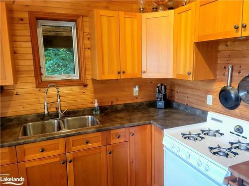 364 Forestry Tower Road, Kearney, ON - Indoor Photo Showing Kitchen With Double Sink