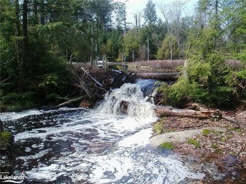 Lot 32 Concession 5, Bracebridge, ON 