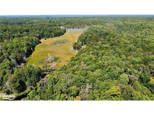 Lot 32 Concession 5, Bracebridge, ON 