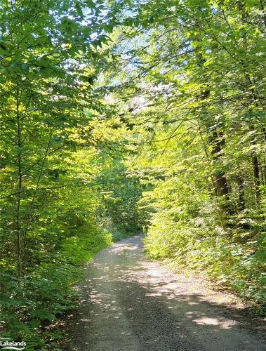 Lot 32 Concession 5, Bracebridge, ON 