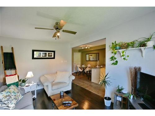 48 Barr Street, Collingwood, ON - Indoor Photo Showing Living Room