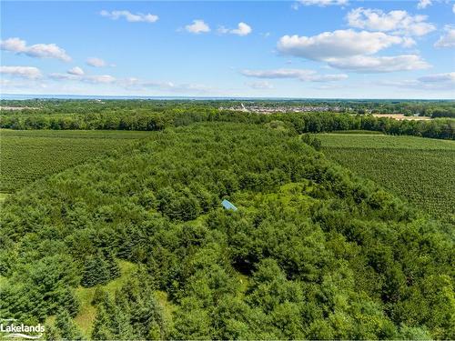 2935 Concession 10 Nottawasaga N, Collingwood, ON - Outdoor With View