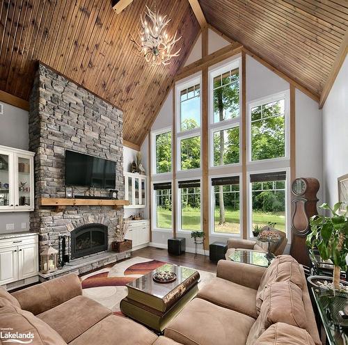 058151 12Th Line, Meaford, ON - Indoor Photo Showing Living Room With Fireplace