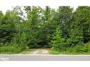 Lot 3 Plan M81 Champlain Road, Tiny, ON 